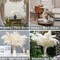 17 inch 20 Stems Pampas Grass Decor Tall -Natural Fluffy Pampas Grass Tall Pompas Grass for Floor Vase - Boho Decor Home Decor Wedding Decor Event Decor, 2404-c15-30white-45cm